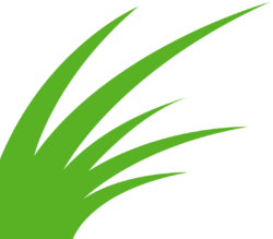 Luxigraze Grass Icon